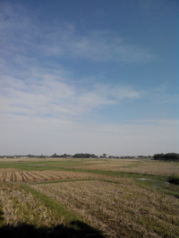 20201110140428