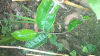 DSC 0001 12