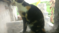 DSC 0001 8