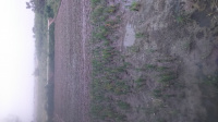 DSC 0001