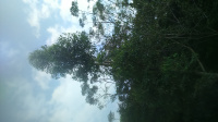 DSC 0002 6