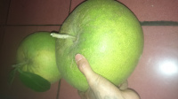 DSC 0003