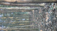 DSC 0004 13