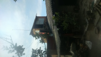 DSC 0004 3