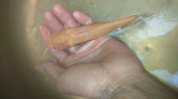 DSC 0004 6
