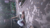 DSC 0010 1