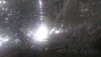 DSC 0010 3