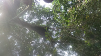 DSC 0028