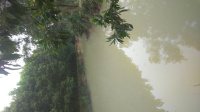 DSC 0030 1