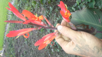 DSC 0046