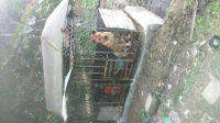 DSC 0090 1