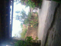 FB IMG 16047916114231607