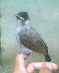 FB IMG 16048955631472472