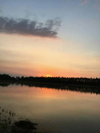 FB IMG 16057675507273147
