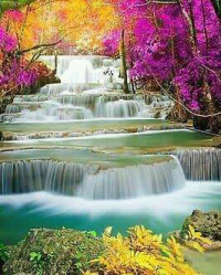 FB IMG 16062150671637126