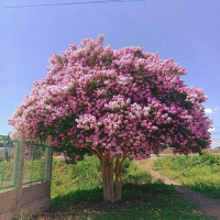 FB IMG 16231666178180831