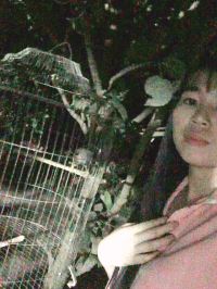Aviary-image-1617262258891
