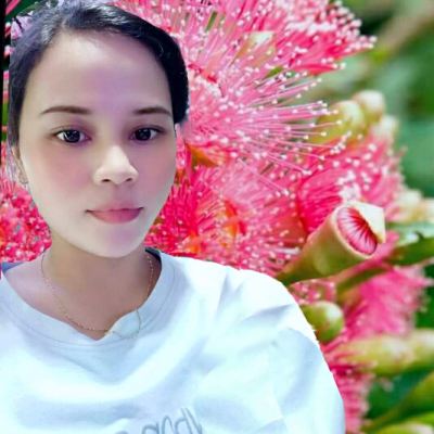 Aviary-image-1639116905888