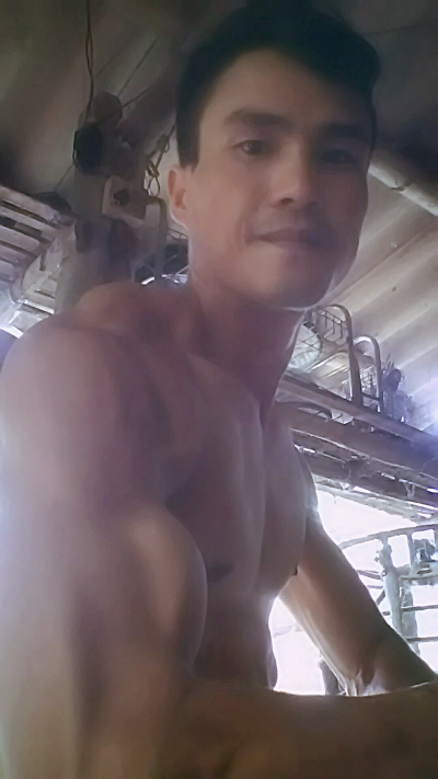 Aviary-image-1715077567456