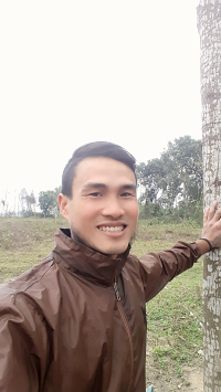 Aviary-image-1740448644561