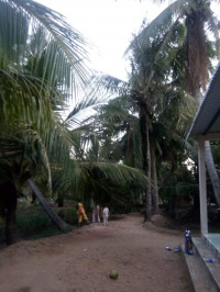 Received 1158407231263038 2